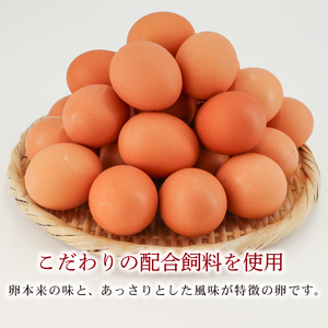 【 定期便 6回 】 卵 マルゲンの米たまご Lサイズ 50個