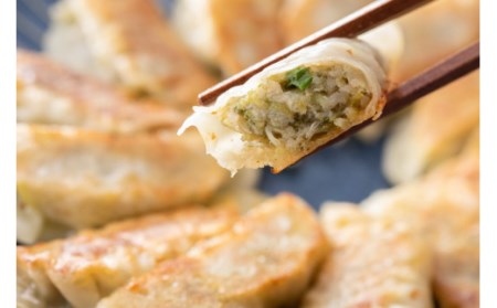 当帰葉餃子 60個入り