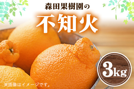 森田果樹園の不知火 3kg《2月中旬-4月下旬頃出荷》森田果樹園 果物 フルーツ 柑橘 熊本