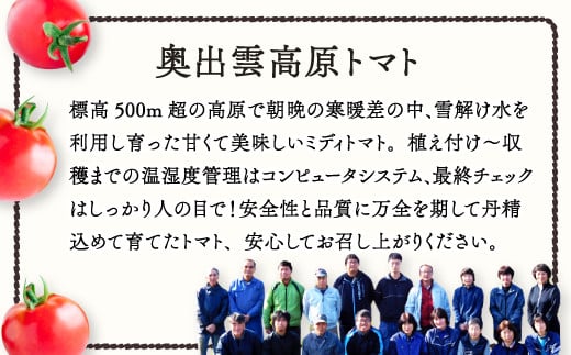 安全性と品質に万全を期して丹精込めて育てたトマト、安心してお召し上がりください！