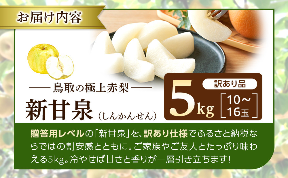 1257.【2026年度発送先行予約】訳あり　新甘泉　5kg