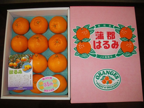 
            【G0331】【期間限定】蒲郡みかん「ハウスはるみ」約3kg
          