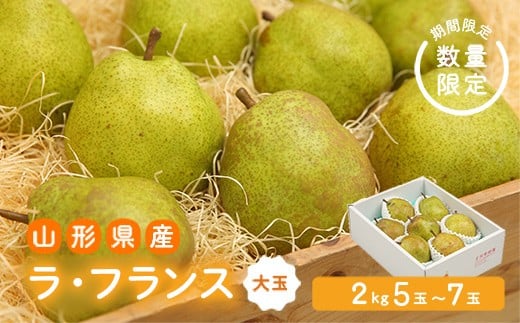 《先行予約 2026年度発送》【王将果樹園】ラ・フランス大玉2kg～生産量日本一のまちより～  なし ナシ 梨 デザート フルーツ 果物 くだもの 果実 食品 山形県 FSY-2685