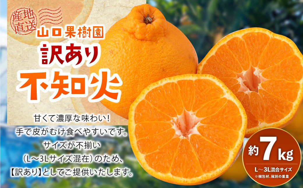 
【先行受付】【2024年2月上旬より順次発送予定】 山口果樹園 訳あり不知火 約7kg L～3L混合 柑橘 果物 フルーツ
