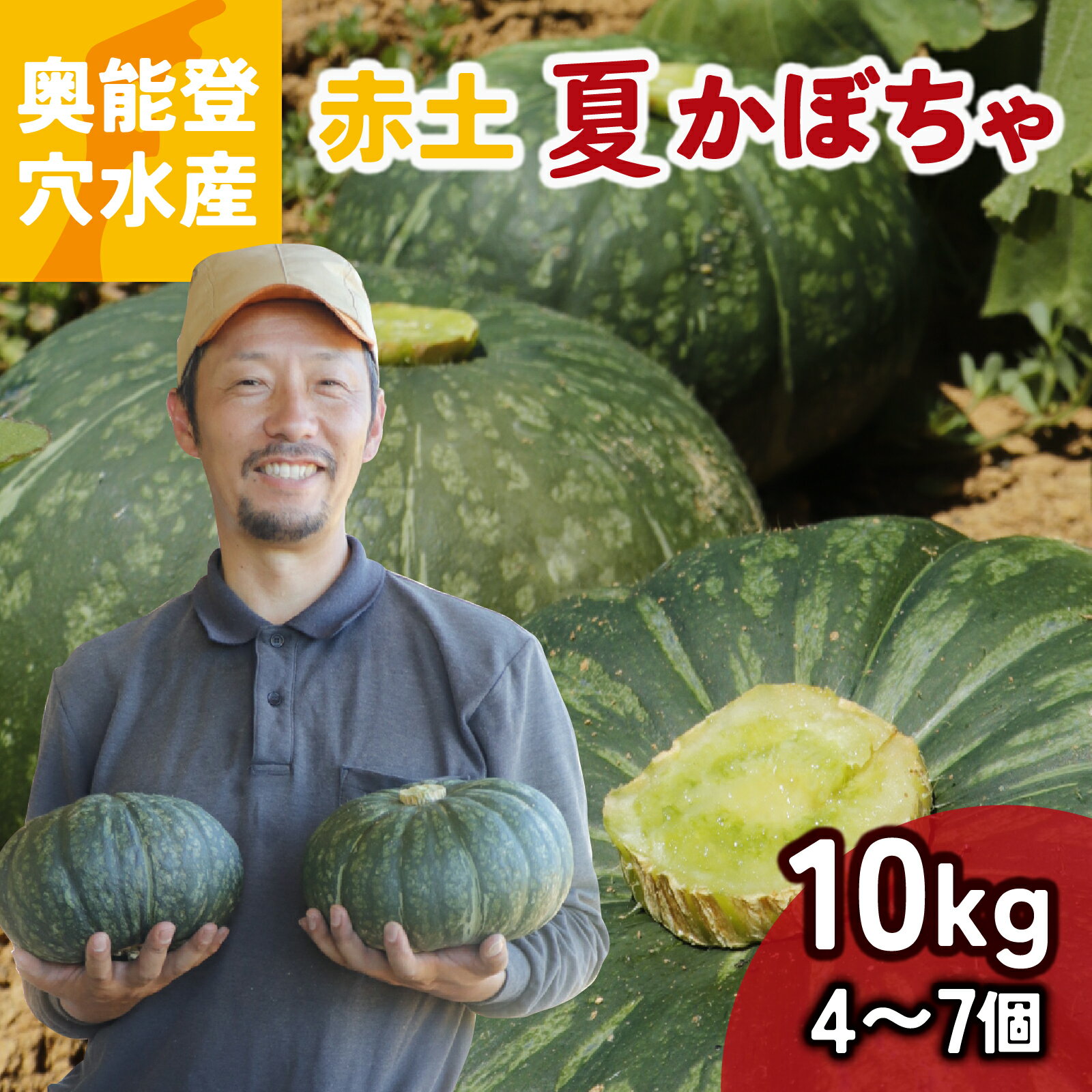 【ふるさと納税】【先行予約】奥能登 穴水産 「赤土 夏かぼちゃ」約10kg（約4個～7個）【2026年8月頃より順次発送】| 奥能登 能登半島 南瓜 カボチャ 国産 甘い 野菜 数量限定 旬 煮物 スイーツ お菓子 国産