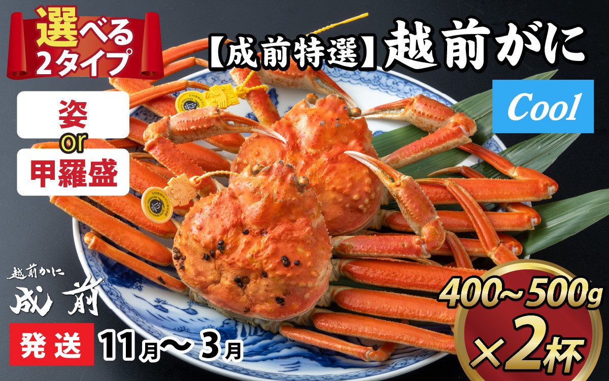 
【先行予約】選べる！美味しさ直送【成前特選】 越前がに（400g～500g）×2杯【11月～3月発送】 [J-028047]
