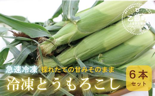 
＜ささや農園産　極★凍結　とうもろこし　6本＞北海道 道産 国産 乙部町 とうもろこし とうきび 冷凍 急速冷凍 鮮度そのまま 甘さ 糖度 個包装 ゴールドラッシュ 恵味ゴールド
