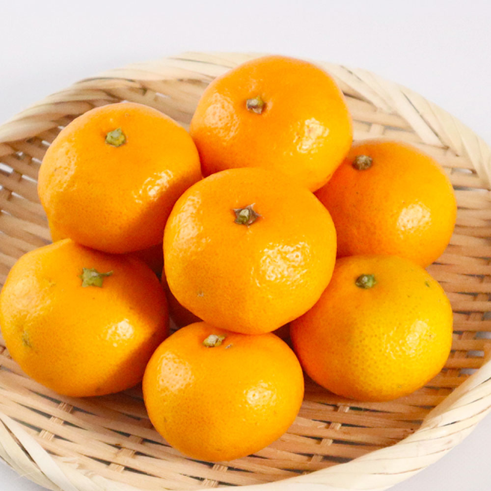 【ふるさと納税】【佐賀みかん】佐賀県産 温州みかん 約3kg みかん ミカン 蜜柑 柑橘 かんきつ フルーツ くだもの 果物 果実 デザート 国産 佐賀県 太良町 送料無料 【2027年1月上旬～1月下旬発送予定】