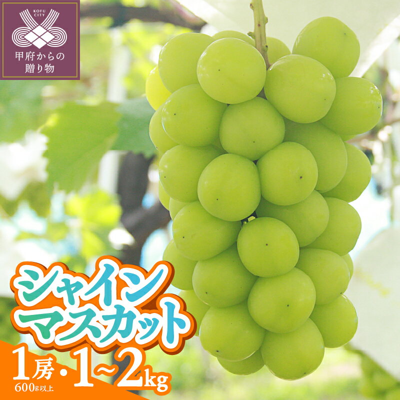 【ふるさと納税】 シャイン マスカット 種なし 選べる内容量 1房入り600g以上 約1.0kg 約1.2kg 約1.5kg 約2.0kg フルーツ 果物 甘い 冷蔵 厳選 贈り物 お中元 贈答品 手土産 フルーツ王国山梨 産地直送 数量限定 期間限定 甲府市産 2026年度配送分 k345-005