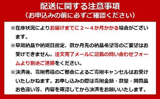 除菌ができるウェットティッシュボトル(100枚入)×2個＆詰替え用(100枚入)×10個セット ノンアルコールタイプ WT-100N アイリスオーヤマ