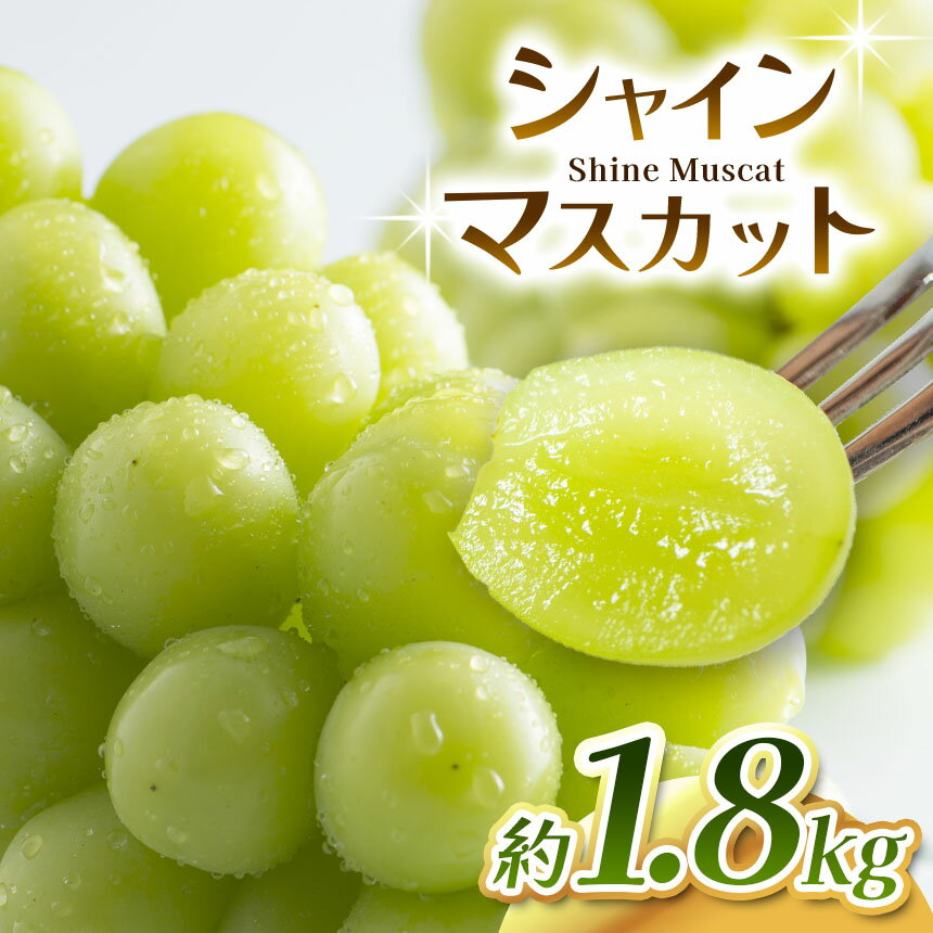 【ふるさと納税】【2025年 先行予約】 シャインマスカット 約1.8kg 2025年9月下旬～順次発送予定 塩尻市産 | シャイン ぶどう 葡萄 ブドウ くだもの 果物 フルーツ シャイン マスカット しゃいん ますかっと 先行 先行予約 旬 塩尻 長野 信州