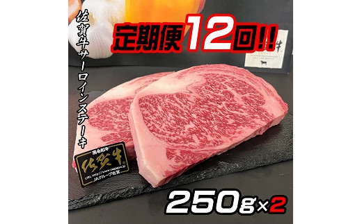 
【定期便12回】佐賀牛ステーキ 250g×2：C345-004
