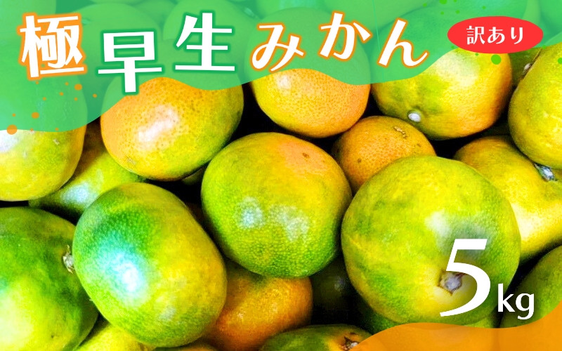 
                  【2026年秋頃発送予約分】【訳あり】こだわりの極早生みかん 約5kg ※2026年10月～11月に順次発送予定（お届け日指定不可） 有機質肥料100% サイズ混合  有田産【nuk165B】
                