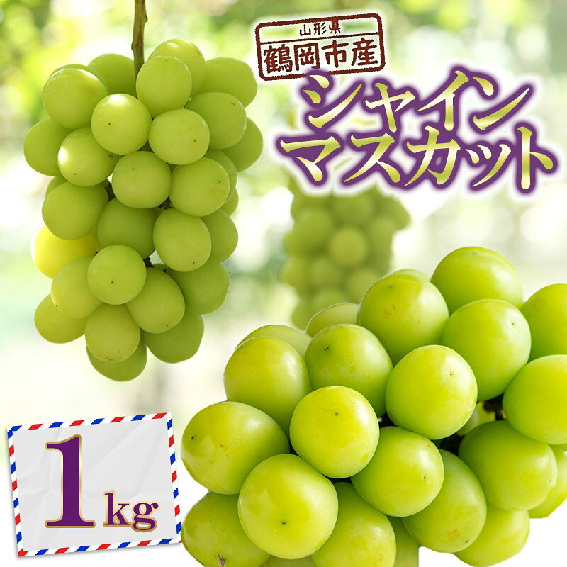 【ふるさと納税】【令和9年産先行予約】鶴岡市産ぶどう シャインマスカット 約1kg（1〜3房） K-935 | 山形県 鶴岡市 フルーツ 果物 くだもの 種なし ブドウ 葡萄 お取り寄せ グルメ 自宅用 家庭用