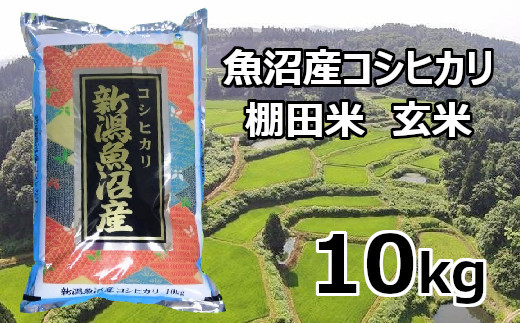 魚沼産コシヒカリ・棚田米　玄米10kg ※パッケージデザイン等は予告なく変更されることがあります。商品内容に変更はございません。