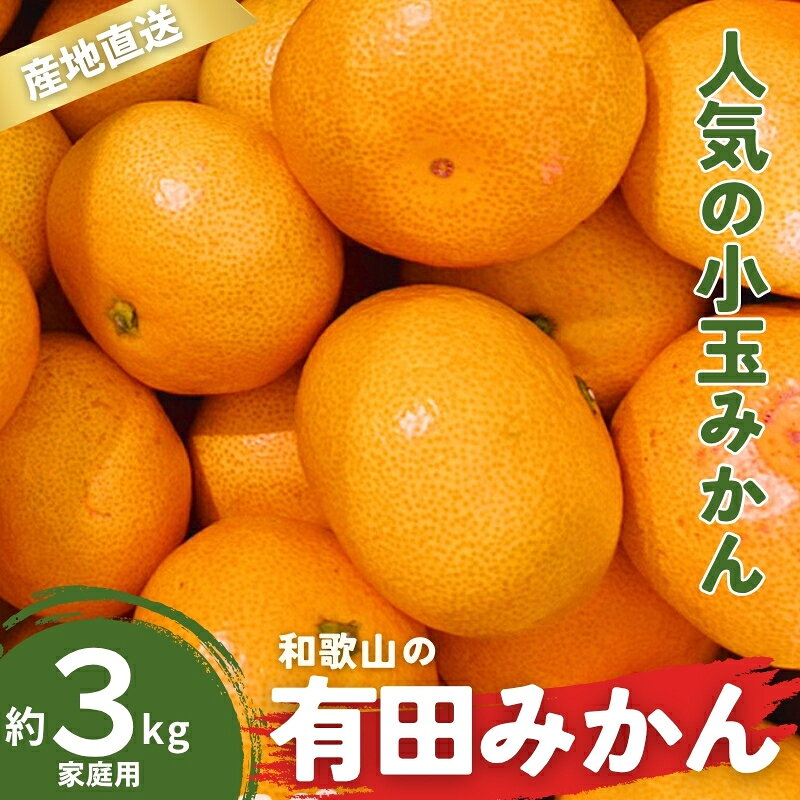 【ふるさと納税】訳あり 家庭用 有田みかん 和歌山 小玉(2S,3Sサイズ混合) 3kg【9月下旬～1月下旬頃に順次発送】/ みかん フルーツ 果物 くだもの 有田みかん 蜜柑 柑橘