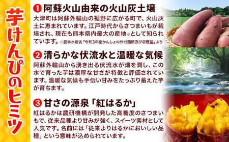 紅はるかの芋けんぴ 500g さつまいも