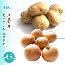 【ふるさと納税】清里町産じゃがいも・玉ねぎセット約4.5kg 【 ふるさと納税 人気 おすすめ ランキング 野菜 じゃがいも いも 芋 玉ねぎ たまねぎ タマネギ 新鮮 北海道 清里町 送料無料 】 KYSB035