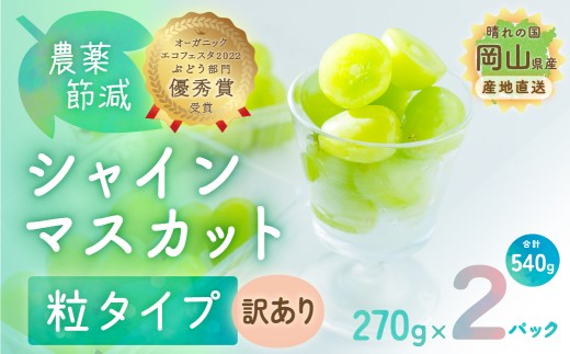 シャインマスカット 粒タイプ 訳あり 2パック入 270g×2パック (540g) 農薬節減 ブドウ ぶどう 葡萄 岡山県 国産 フルーツ 果物 ギフト 正金農園 直送 栽培期間中  しゃいんますかっと