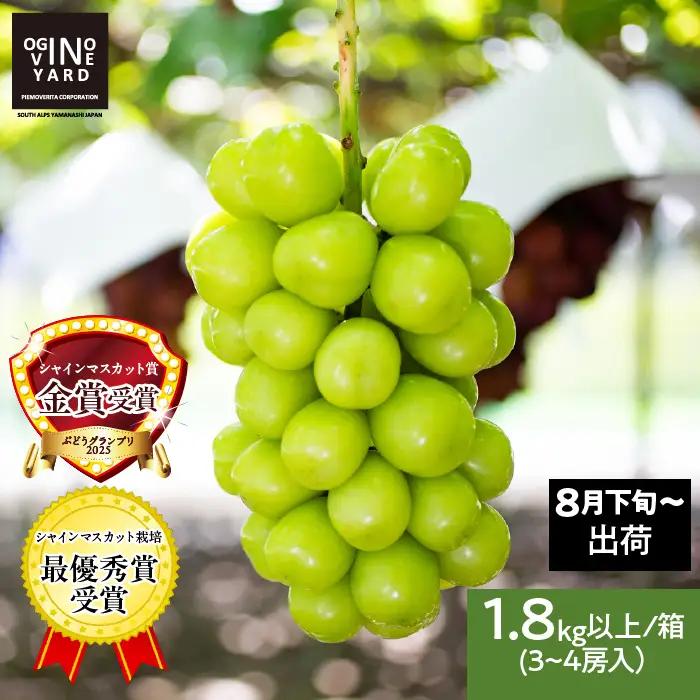 ★テレビで紹介されました！★【2026年8月中旬～発送】山梨県産 シャインマスカット 1.8kg以上 3～4房入 ALPAK007｜シャインマスカット