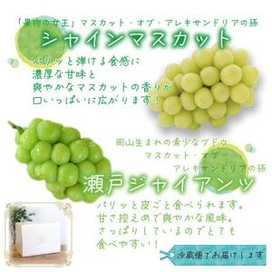 岡山　花笑み農園の『シャインマスカット＆瀬戸ジャイアンツ』1kg(2房)　GS-1【配送不可地域：離島・北海道・沖縄県】【1627775】