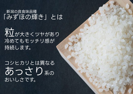 【6ヶ月定期便】パックご飯 新潟県阿賀野市産みずほの輝き 150g×24食×6回 1H20073