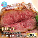 【ふるさと納税】【但馬牛】お肉屋さんの ミート・マイチク サーロインローストビーフ 約300g｜国産 父の日 お中元 牛肉 ブランド牛 ロース サーロイン 赤身 霜降り 冷凍 配送 家庭用 家族向け お取り寄せ 送料無料 [C-017005]