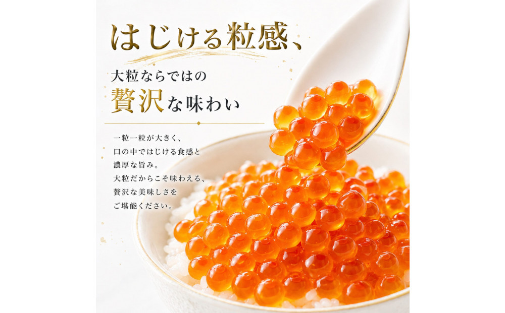 訳あり いくら醤油漬け 鮭卵 冷凍 200g  尾張まるはち