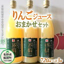 【ふるさと納税】 りんごジュース ( 品種はおまかせ ) 720ml × 3本 果汁100% ITO果樹園 沖縄県への配送不可 信州の環境にやさしい農産物認証 長野県 飯綱町 〔 飲料 果汁飲料 りんご リンゴ 林檎 ジュース 信州 16000円 農家直送 〕