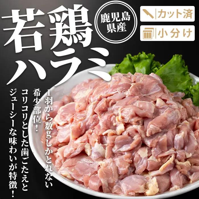 isa716 鹿児島県産若鶏ハラミセット(計3kg・300g×10P) 鹿児島県産 国産 鶏肉 鳥肉 とり肉 ハラミ 希少部位 炭火焼き 焼肉 BBQ 炒め料理 おつまみ 真空 小分け 【TRINIT