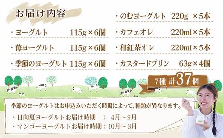 高千穂牧場ヨーグルト&ドリンクバラエティセット(プリン付き)《ご入金翌月の中旬～下旬の水曜日頃出荷》_MJ-1616_(都城市) 乳製品 ヨーグルト 苺ヨーグルト 季節のヨーグルト のむヨーグルト カ