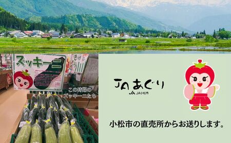 ズッキーニ 約1kg (5本前後) | 石川県 小松市 JAあぐり