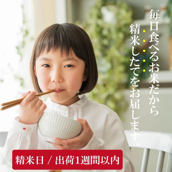 先行予約 令和8年産 さがびより【11月配送】佐賀ブランド米 さがびより10kg（5kg×2）潮風F 白米 B150-058-11