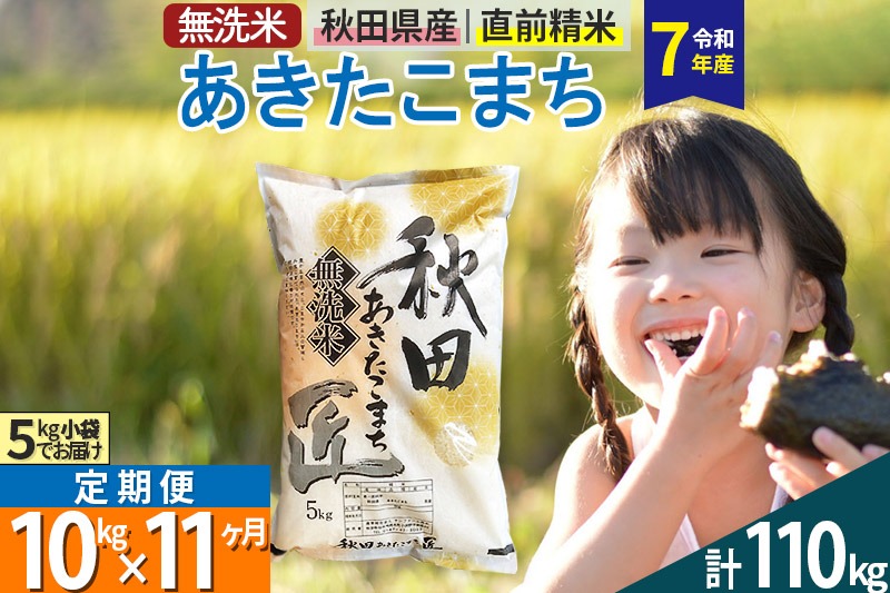 【無洗米】＜令和7年産＞《定期便11ヶ月》秋田県産 あきたこまち 匠 10kg (5kg×2袋) ×11回 10キロ お米 |02_snk-030611s