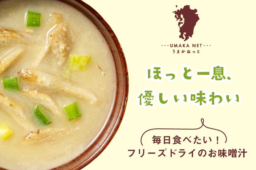 味噌汁 フリーズドライ 業務用 ごぼう 15食 [タムラ 福岡県 宇美町 um40azp050011] お味噌汁 みそ汁 おみそ汁 国産 福岡 インスタント 保存食 クリポス メール便 メール便対応