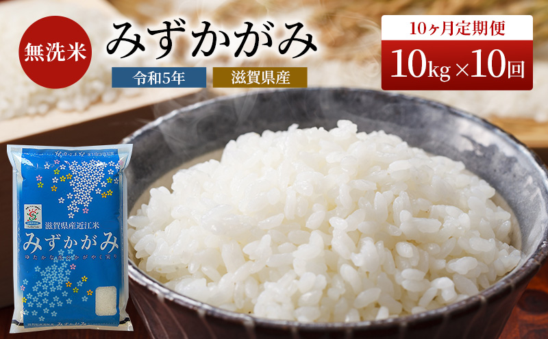 米 定期便 10ヶ月 みずかがみ BG無洗米 10kg  令和6年産新米 ふるさと応援特別米 無洗米 お米 こめ コメ おこめ 白米 10回 お楽しみ