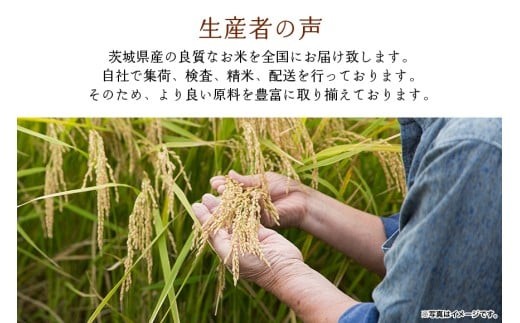 茨城県の温暖な気候と肥沃な大地に恵まれ育ちました!