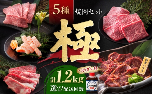 【全6回定期便】焼肉セット 極 1.2kg / 肉 牛肉 牛 焼肉 焼き肉 やきにく BBQ バーベキュー キャンプ アウトドア 鉄板焼き セット 詰め合わせ 食べ比べ 国産 冷凍 小分け ミノ ホルモン ロース ハラミ カルビ バラ バラ肉 上カルビ 約 1kg / 大阪府藤井寺市/株式会社 松屋 [BLCD012]
