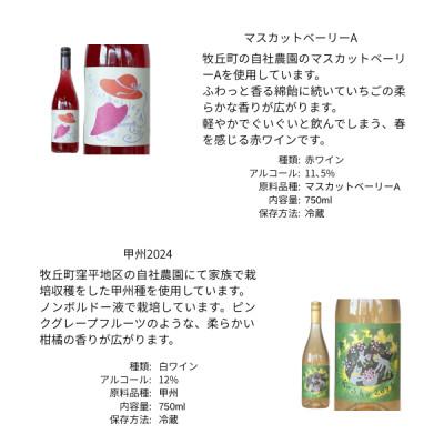 ふるさと納税 山梨市 三養醸造厳選2種セット マスカットベーリーA/甲州2024 750ml×2本 |  | 01
