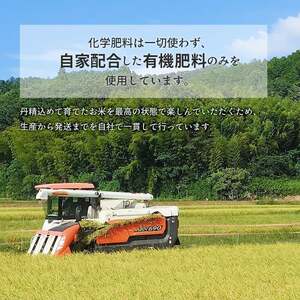 京都府産 低農薬 有機栽培コシヒカリ玄米 25kg（5kg×5）【 米 5キロ 玄米 こしひかり コシヒカリ 井上吉夫 低農薬 有機栽培米 有機栽培 農家直送 減農薬 米 25キロ 玄米 こしひかり 