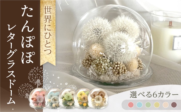 
                  【6色から選べる】「世界にひとつ」たんぽぽレターグラスドーム / プリザーブドフラワー　アレンジメント お花ギフト / 大村市 サニーサイドファクトリー [ACCK002]
                