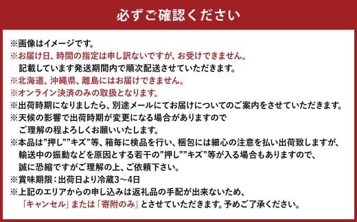 ご家庭用 ニュー ピオーネ（優品） 3房入り （1房 530g以上） 露地栽培　【2026年9月上旬～10月下旬 発送予定】【葡萄 ぶどう ニューピオーネ 果物 フルーツ 国産 人気 おすすめ 岡山県
