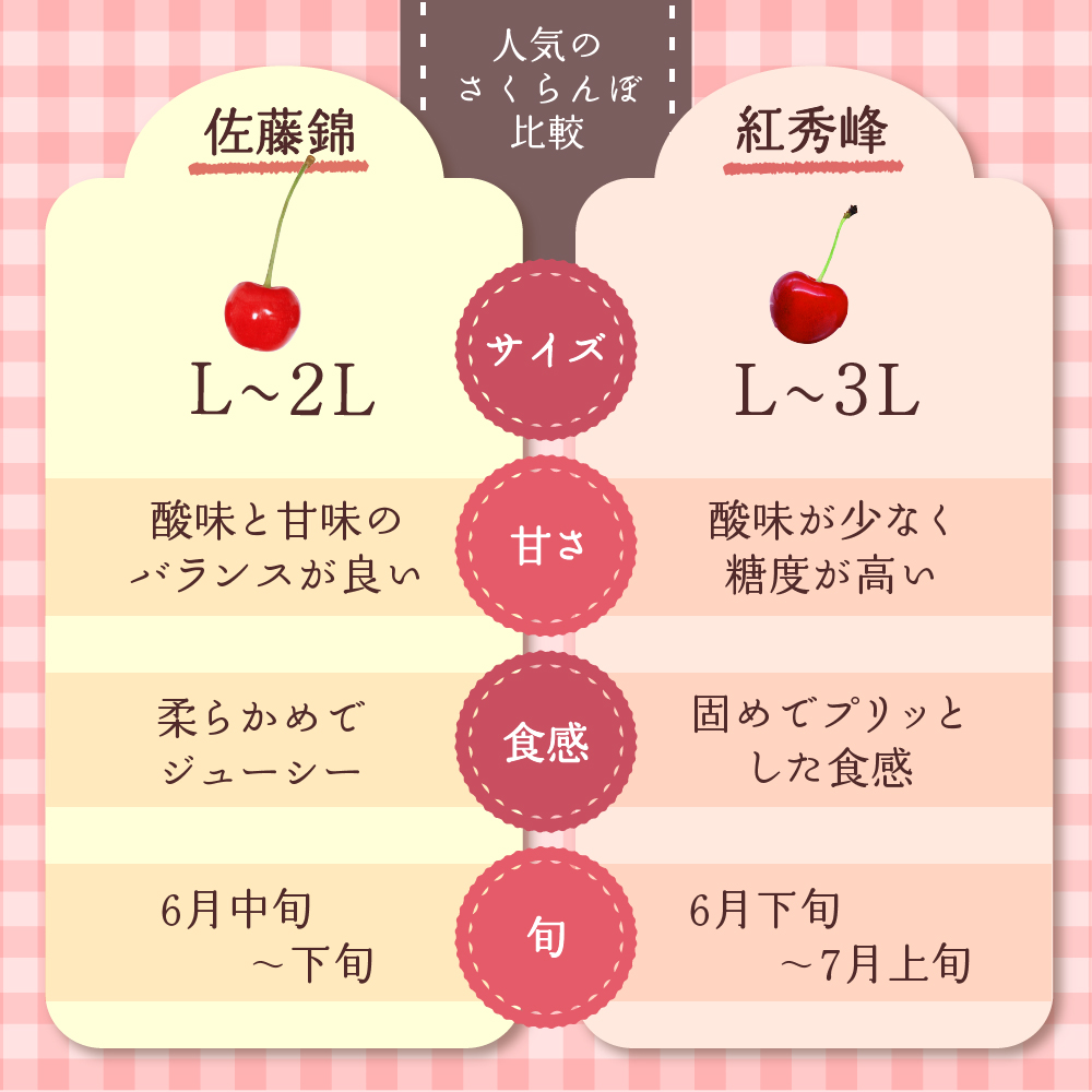 【令和7年産先行予約】さくらんぼ紅秀峰 2L 1kg以上(500gバラ詰め×2パック)山形県河北町産【晴天畑】