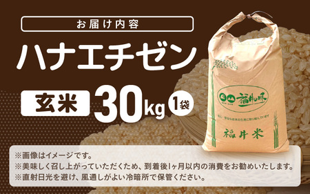 【先行予約】米 令和7年産 ハナエチゼン 30kg（玄米）【2025年9月上旬以降順次発送予定】 [m76-d001]