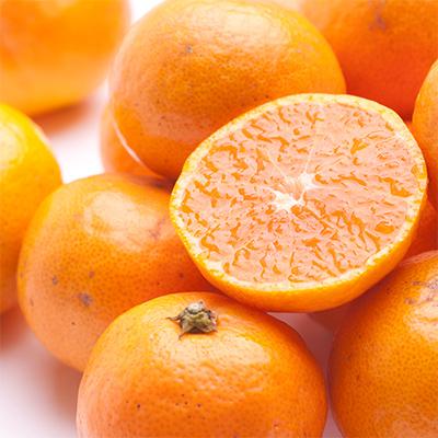 ふるさと納税 湯浅町 【発送月固定定期便】季節の柑橘定期便B【フルーツ定期便】【和歌山県有田】全12回 |  | 01