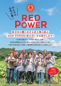 美東 ごぼう 入り スイーツ & ごぼう茶 セット ( 1 セット ) ｜ 山口県 山口 美祢市 美祢 楽天ふるさと ふるさと 納税 返礼品 ごぼう茶 国産 ゴボウ茶 ごぼう お茶 茶 クッキー お菓