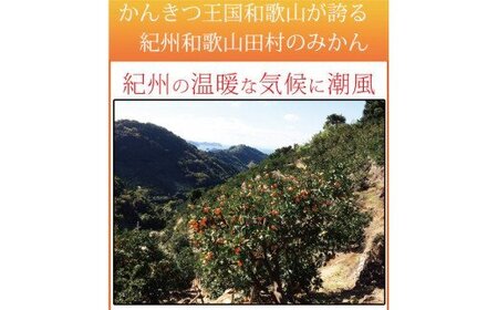 【ご家庭用訳あり】田村みかん　５kg【先行予約】【UT18】