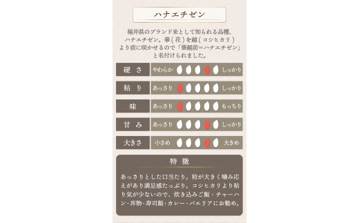 福井県産 ハナエチゼン 玄米 20kg（20kg×1）＜令和8年産＞【新米 米 コメ お米 ご飯 飯 華越前 ブランド米 国産】[095-a227]