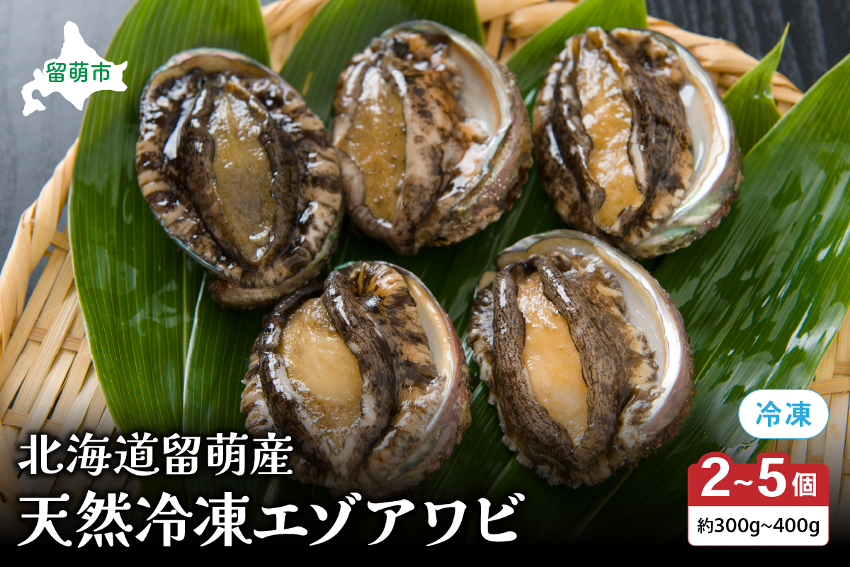 【産地直送　留萌産】天然（冷凍）エゾアワビ 300ｇ～400ｇ（2～5個入り） 冷凍 魚貝 貝 殻付 海鮮 海産物 海の幸 魚介 魚介類 刺身 刺し身 お刺身 ステーキ バーベキュー BBQ アワビ 鮑 エゾアワビ 留萌産 留萌 留萌市 
