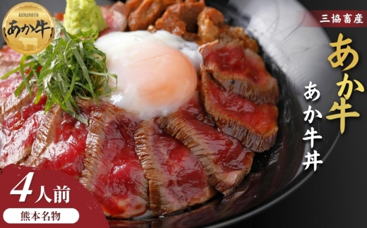 【三協畜産】【選べる内容量】熊本名物あか牛丼セット 4人前 あか牛 赤牛 牛肉 あか牛 あか牛丼 国産 簡単 お取り寄せ 冷凍 お土産 ギフト 贈り物 贈答用 豪華 セット ご当地 簡単 手軽 贅沢 ご褒美 お祝い 人気 晩ご飯 熊本県 阿蘇市
